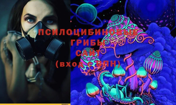 Альфа ПВП Володарск