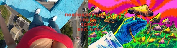 соль ск Волоколамск