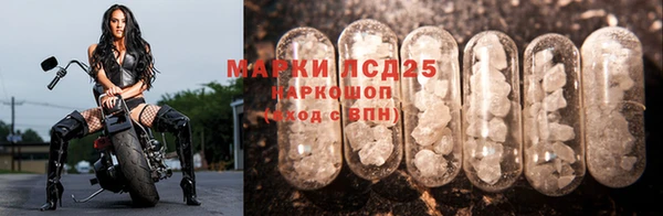 Альфа ПВП Володарск
