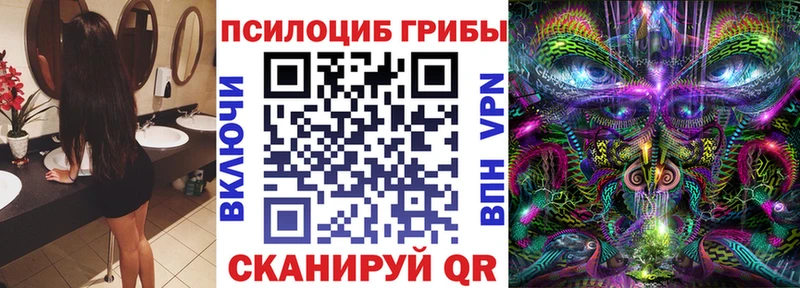 Псилоцибиновые грибы Psilocybine cubensis  Каменск-Шахтинский 
